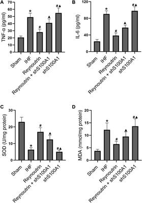 Reynoutrin Improves Ischemic Heart Failure in Rats Via Targeting S100A1